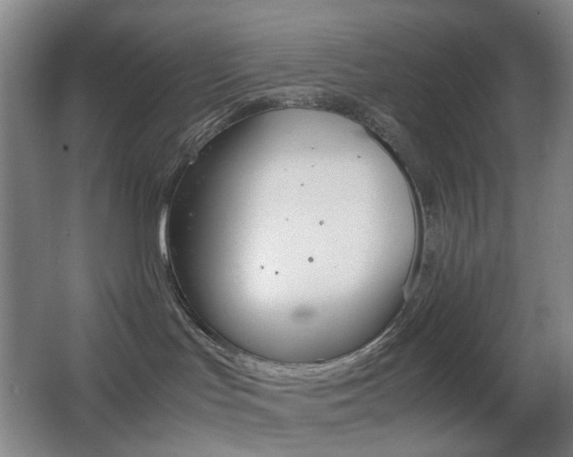 X0000064040047200601270943