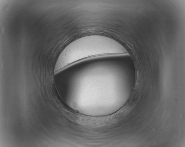 X0000064040048200601270943