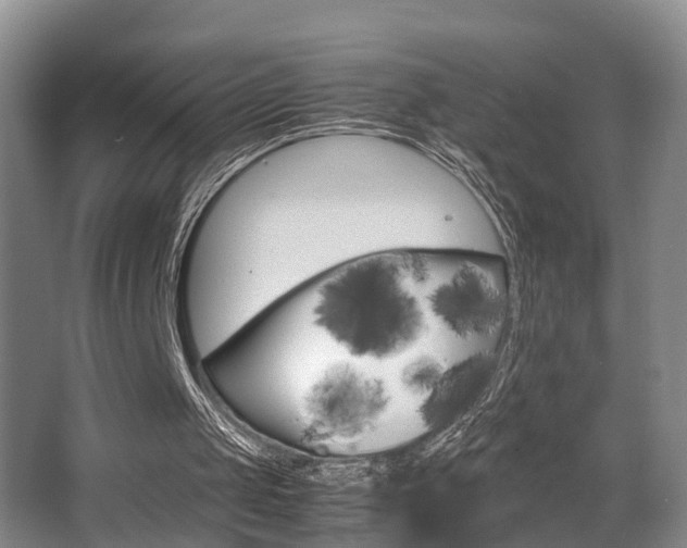 X0000064040049200601270943