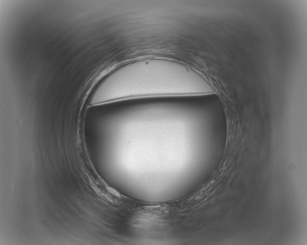 X0000064040050200601270943