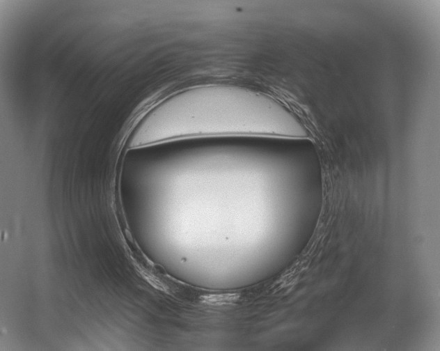 X0000064040051200601270943