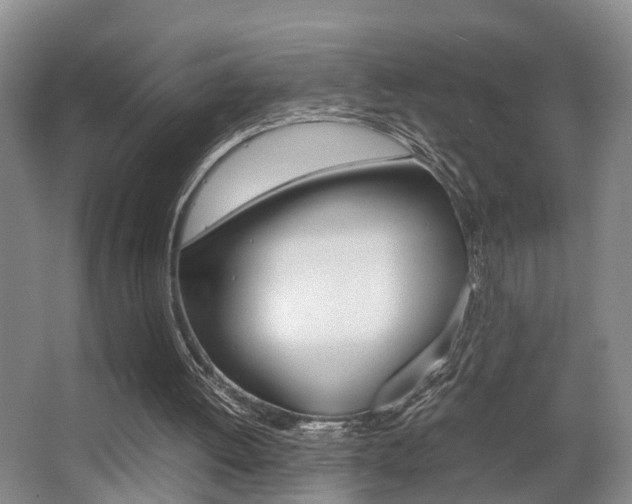 X0000064040052200601270943