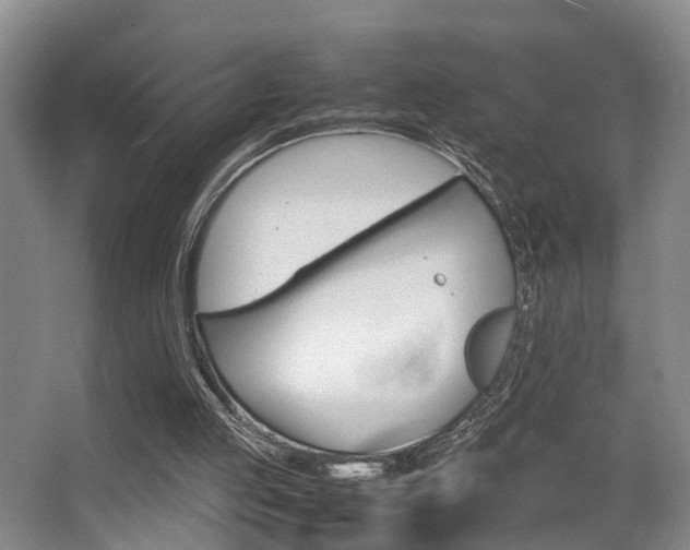 X0000064040053200601270943