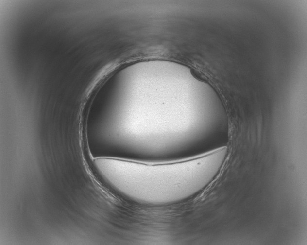 X0000064040054200601270943