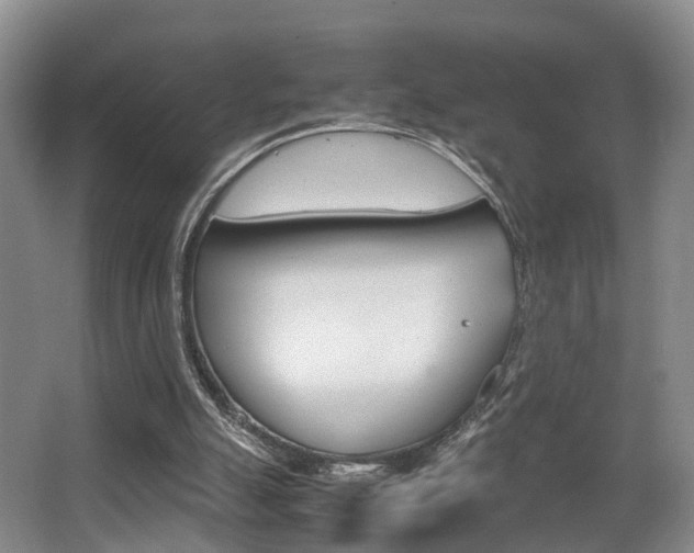 X0000064040055200601270943