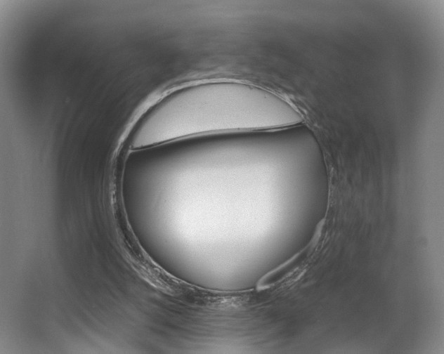 X0000064040056200601270943