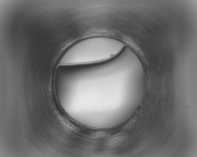 X0000064040058200601270943