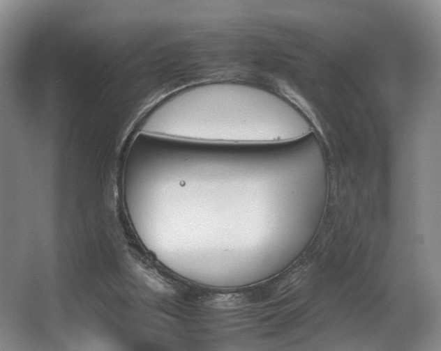 X0000064040059200601270943