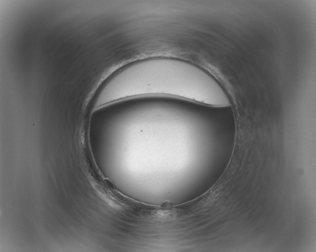 X0000064040060200601270943