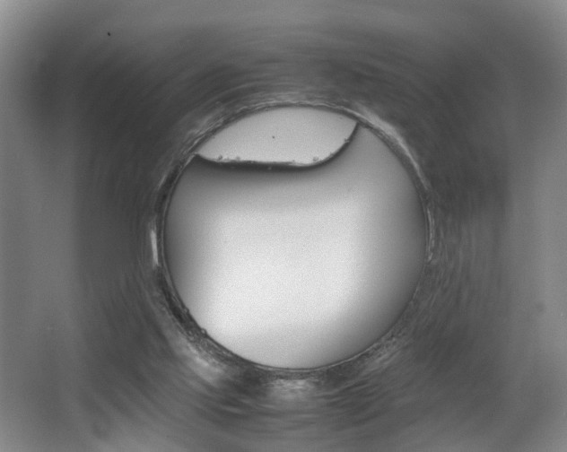 X0000064040061200601270943