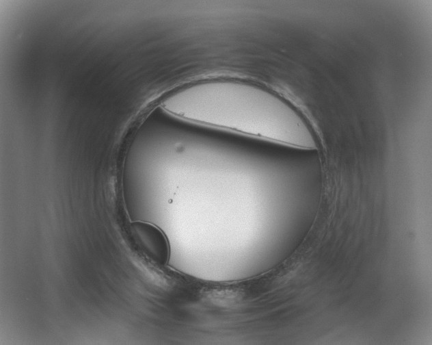 X0000064040063200601270943