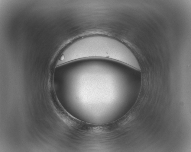 X0000064040064200601270943