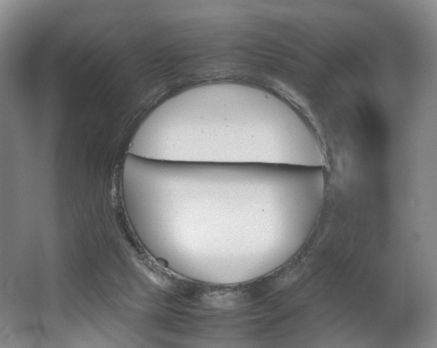 X0000064040065200601270943