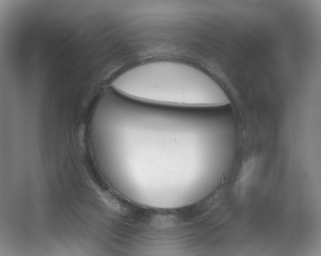 X0000064040066200601270943