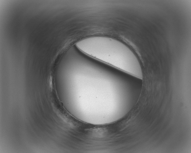 X0000064040067200601270943