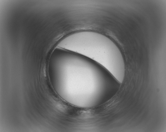 X0000064040068200601270943