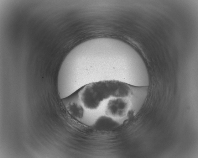 X0000064040069200601270943