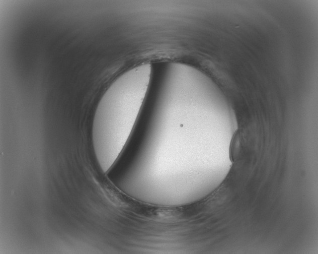 X0000064040070200601270943