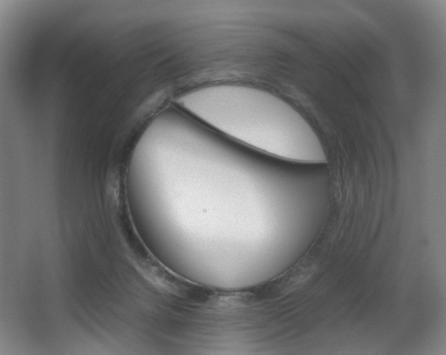 X0000064040072200601270943