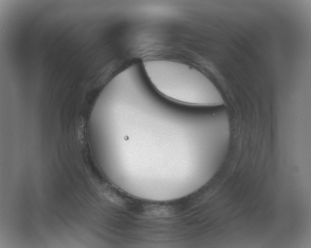 X0000064040073200601270943