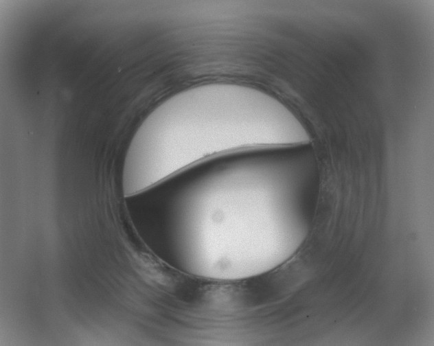 X0000064040074200601270943