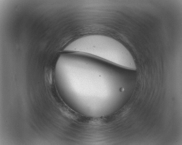 X0000064040076200601270943