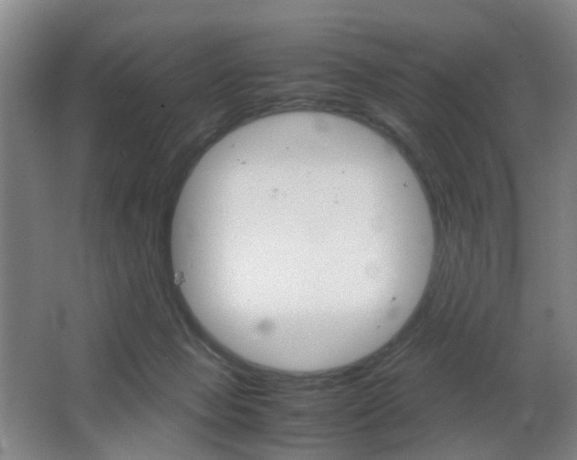 X0000064040077200601270943