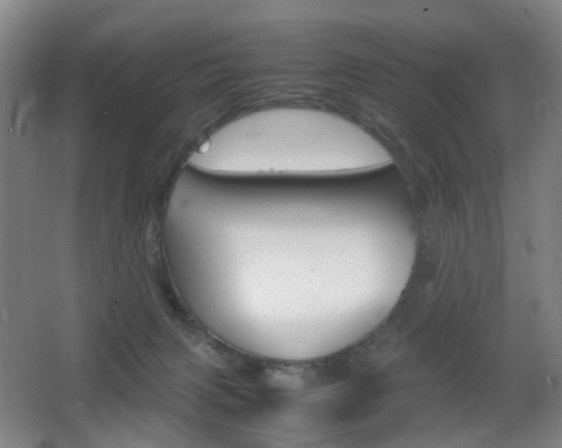 X0000064040079200601270943