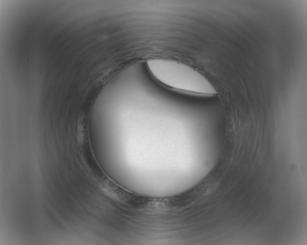 X0000064040080200601270943