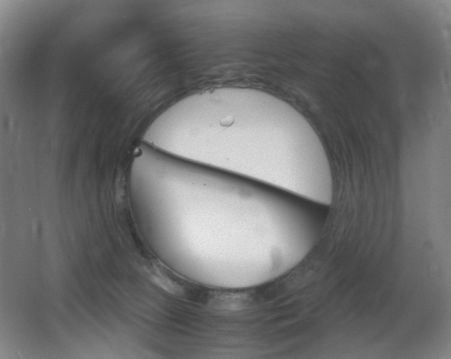 X0000064040081200601270943