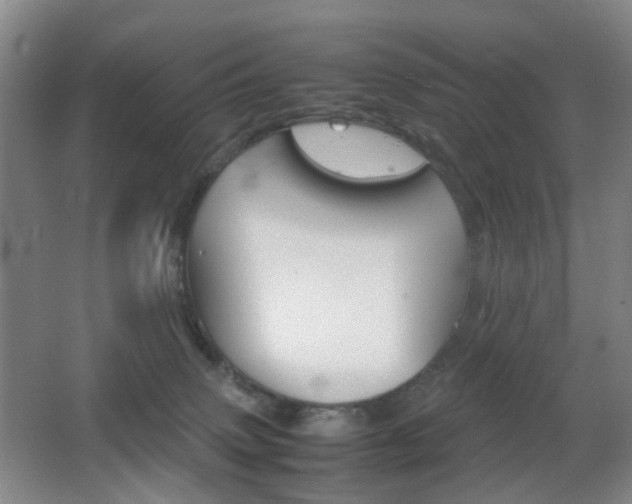 X0000064040083200601270943