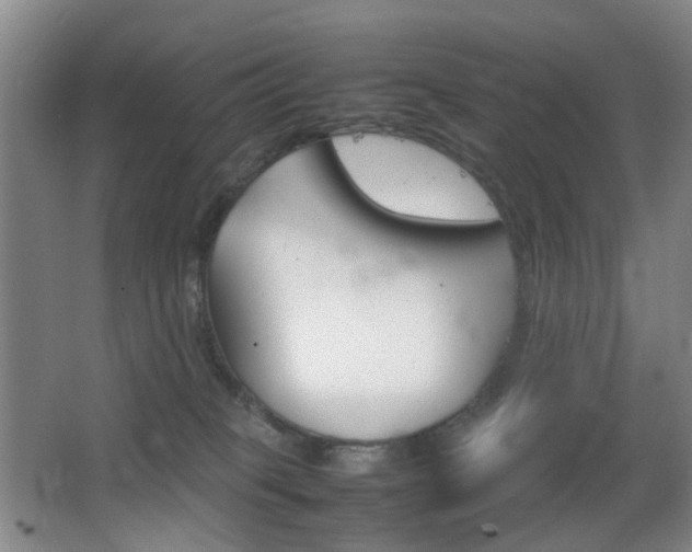 X0000064040085200601270943