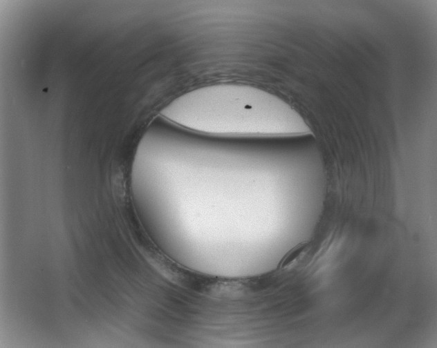 X0000064040086200601270943