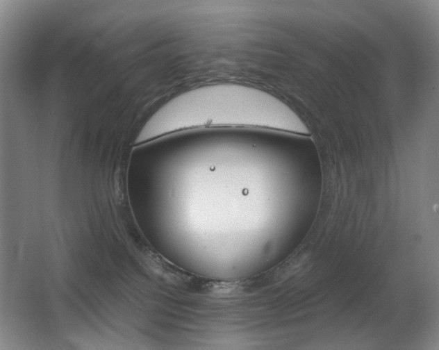 X0000064040088200601270943