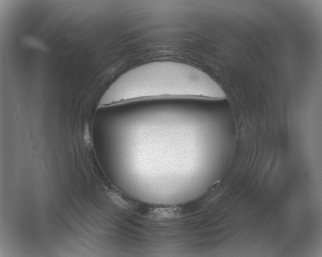 X0000064040089200601270943