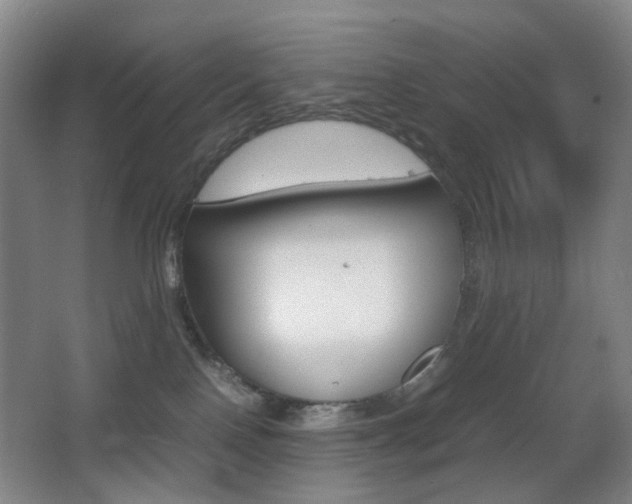 X0000064040090200601270943