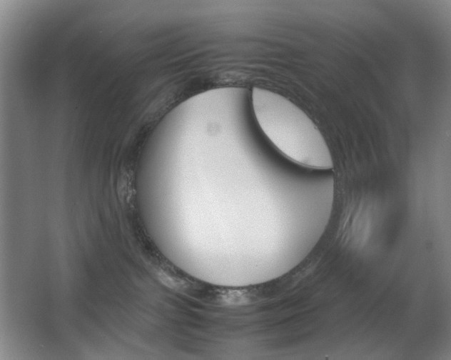 X0000064040091200601270943