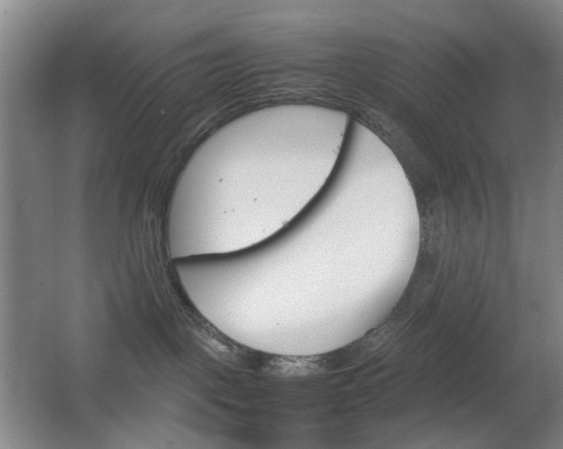 X0000064040093200601270943