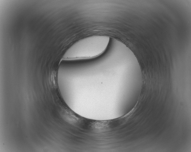 X0000064040094200601270943