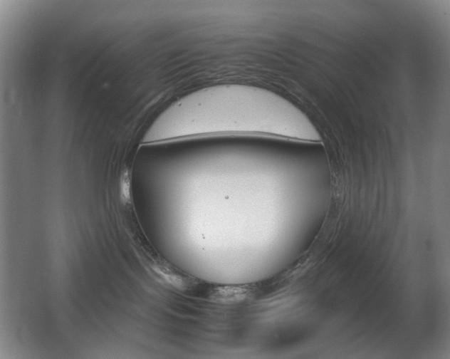 X0000064040095200601270943