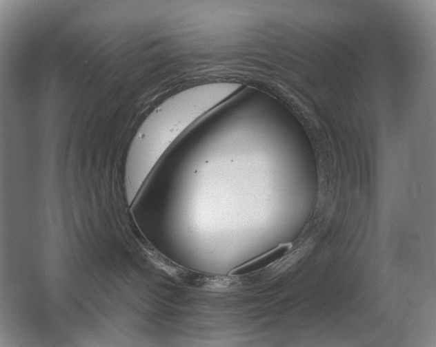 X0000064040096200601270943