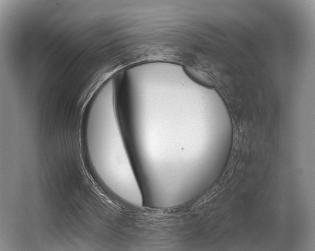 X0000064040098200601270943