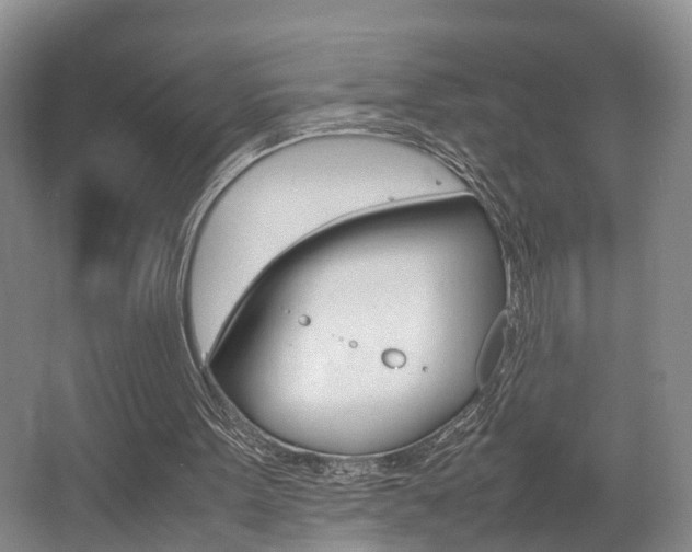 X0000064040099200601270943