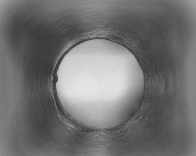 X0000064040100200601270943