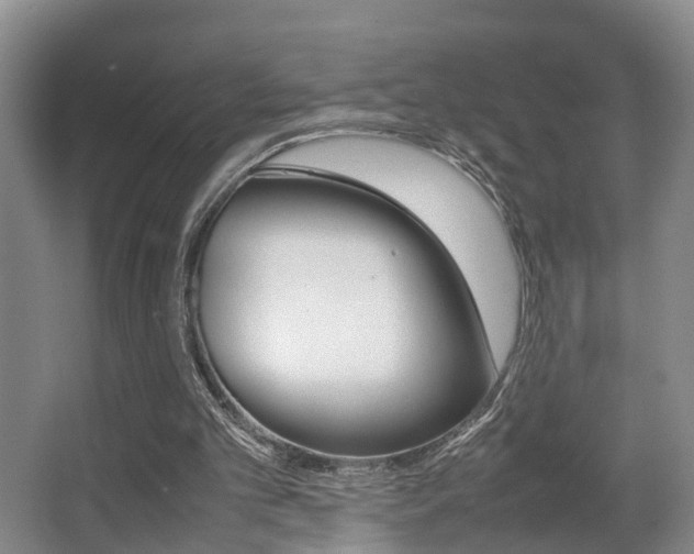 X0000064040101200601270943