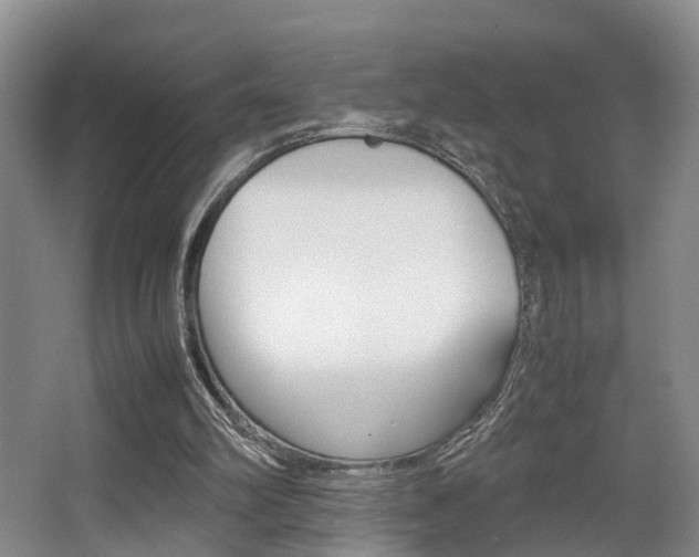 X0000064040102200601270943