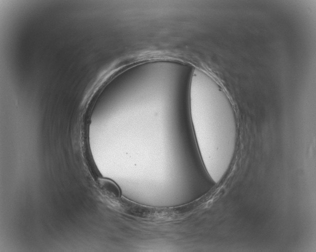 X0000064040103200601270942