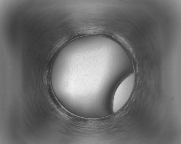 X0000064040105200601270942