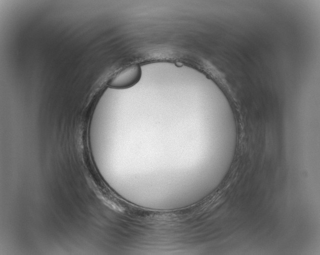 X0000064040106200601270942