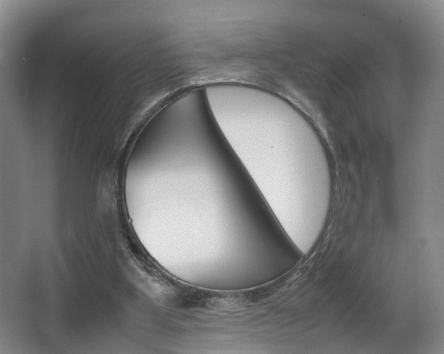 X0000064040107200601270942